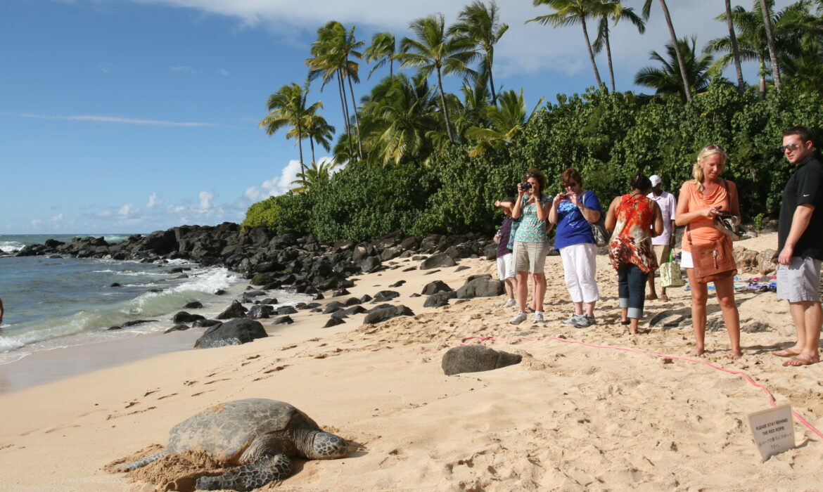 Oahu Nature Tours - Ultimate Circle Island Tour