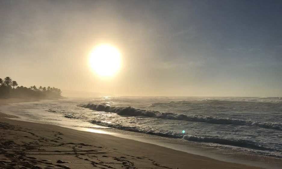 Oahu Nature Tours - Ultimate Circle Island Tour