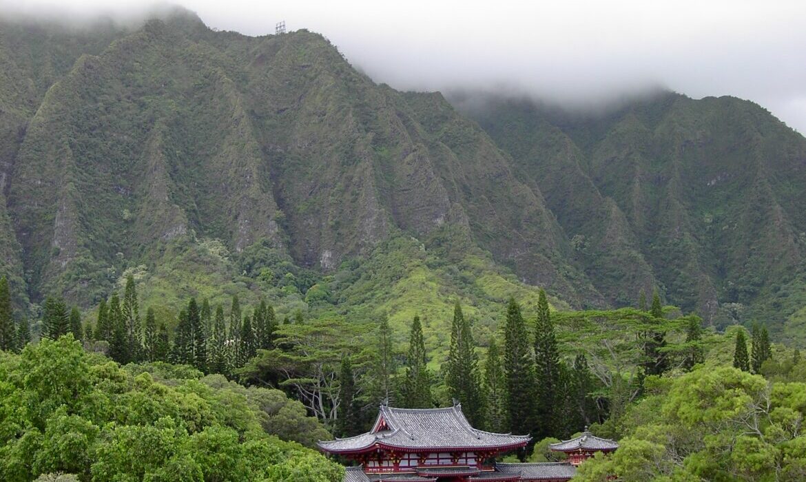 Oahu Nature Tours - Ultimate Circle Island Tour