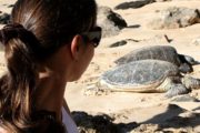 Ultimate Circle Island Tour with Oahu Nature Tours