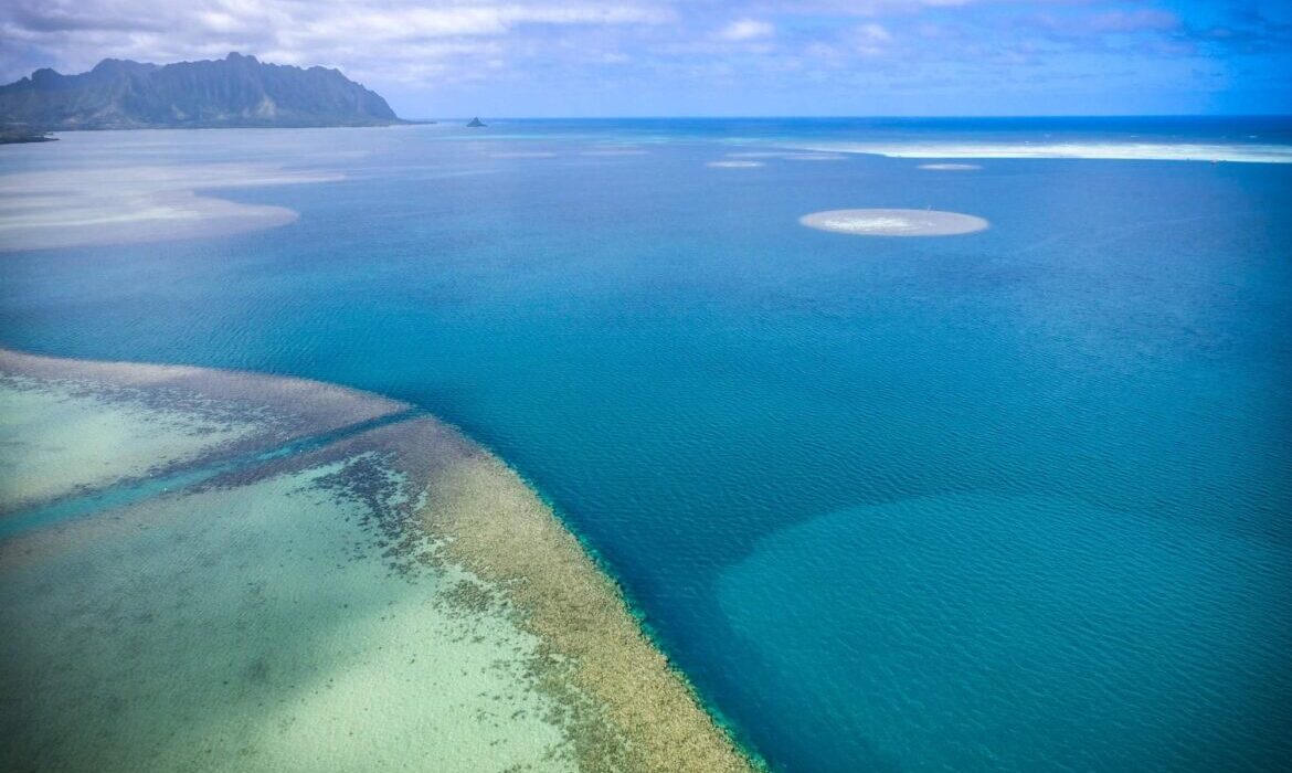Oahu Nature Tours - Ultimate Circle Island Tour