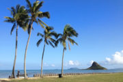 Chinaman's Hat