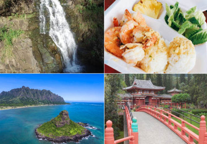 Ultimate Circle Tour with Waimea Valley Waterfall