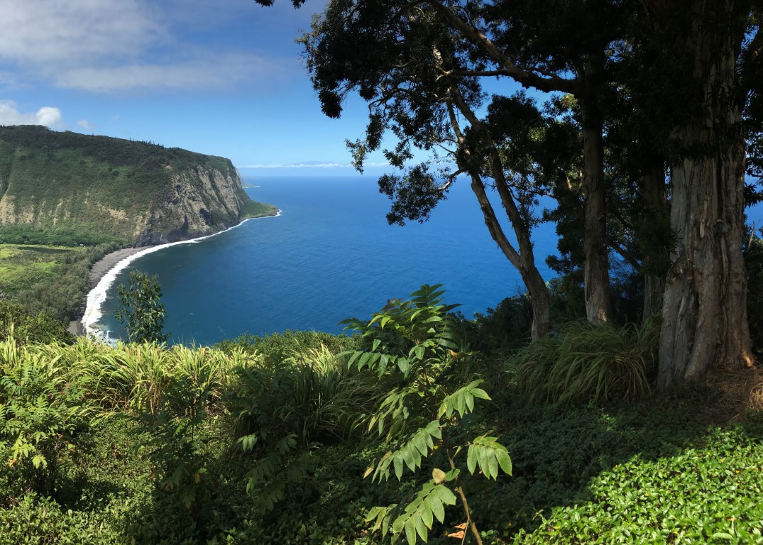 Waipio Valley Lookout