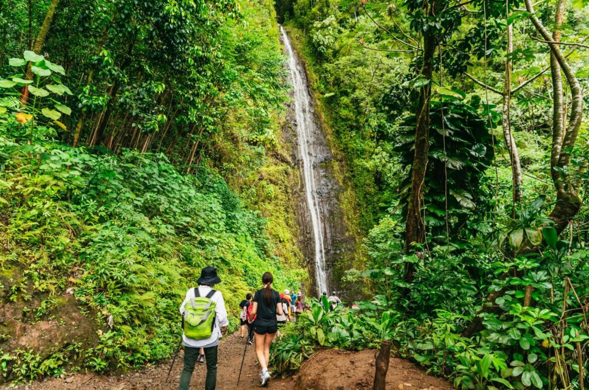 Manoa Falls Guided Hike