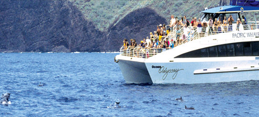 Maui Tours