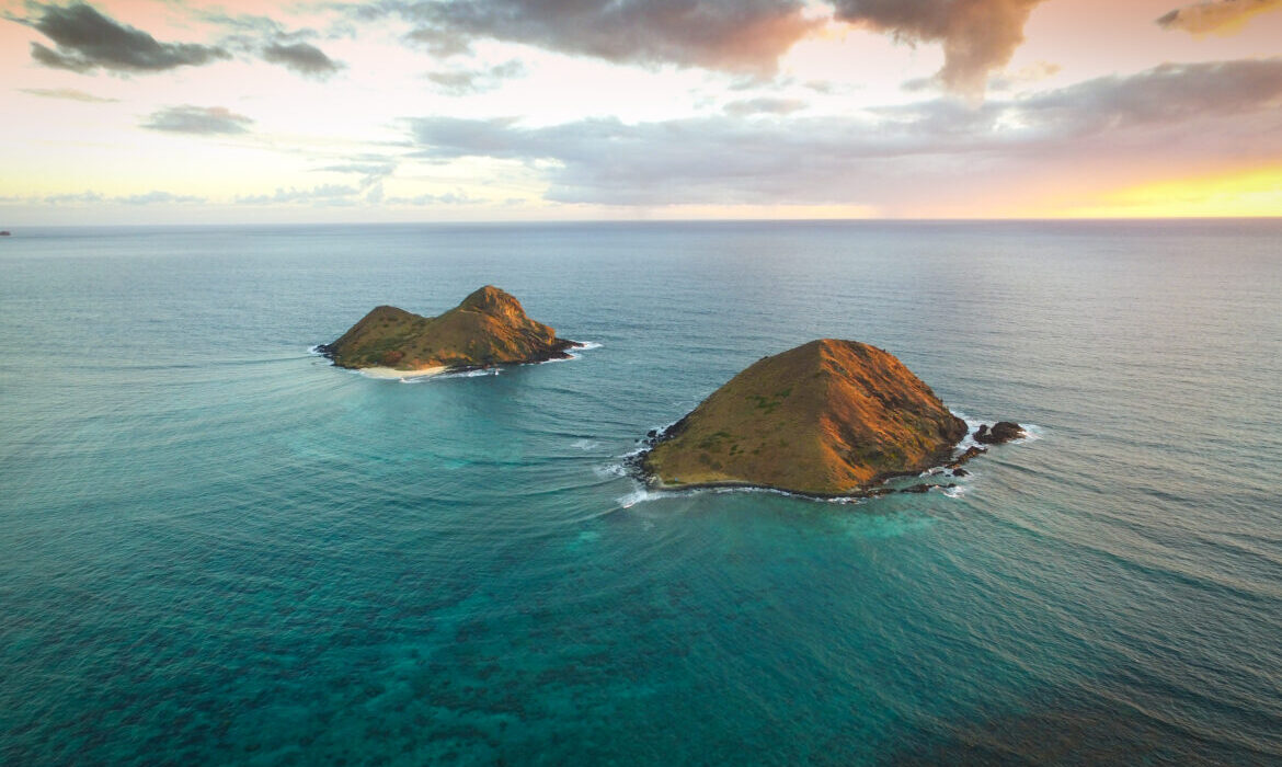 Oahu Nature Tours - Ultimate Circle Island Tour