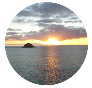 Oahu Nature Tours - Ultimate Circle Island Tour